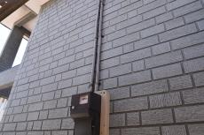 2020 0109 Wsama mae009.JPG