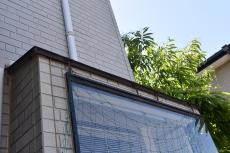 2020 0109 Wsama mae014.JPG