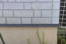 2020 0109 Wsama mae016.JPG