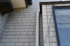 2020 0109 Wsama mae017.JPG