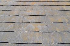 2020 0109 Wsama mae029.JPG