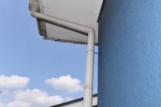 2020 0110 Ysama mae014.JPG