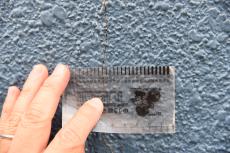 2020 0110 Ysama mae025.JPG