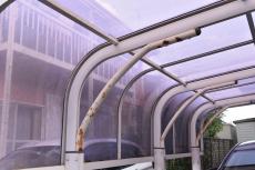 2020 0110 Ysama mae043.JPG