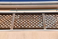 2020 0114 Ksama mae010.JPG