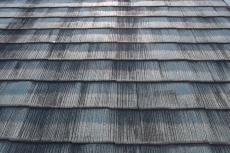 2020 0114 Ksama mae025.JPG