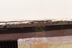 2020 0116 Azuma Tsama mae002.JPG
