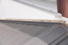 2020 0116 Azuma Tsama mae033.JPG