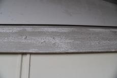 2020 0116 Azuma Tsama mae036.JPG