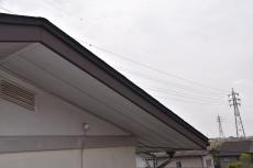 2020 0116 Azuma Tsama mae039.JPG