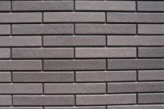 2020 0116 Tsama mae001.JPG