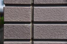 2020 0116 Tsama mae005.JPG