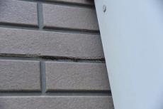 2020 0116 Tsama mae007.JPG