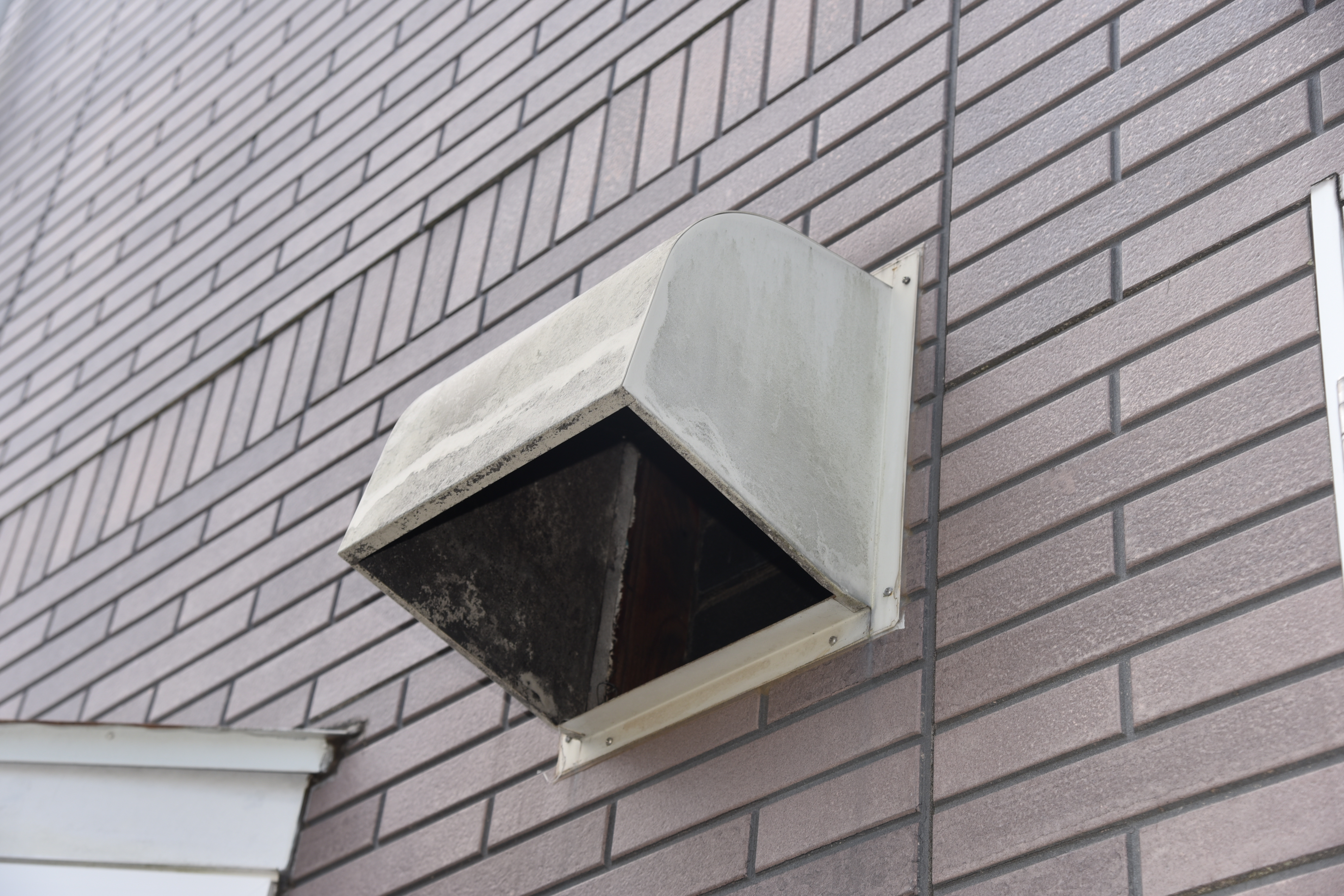 2020 0116 Tsama mae014.JPG