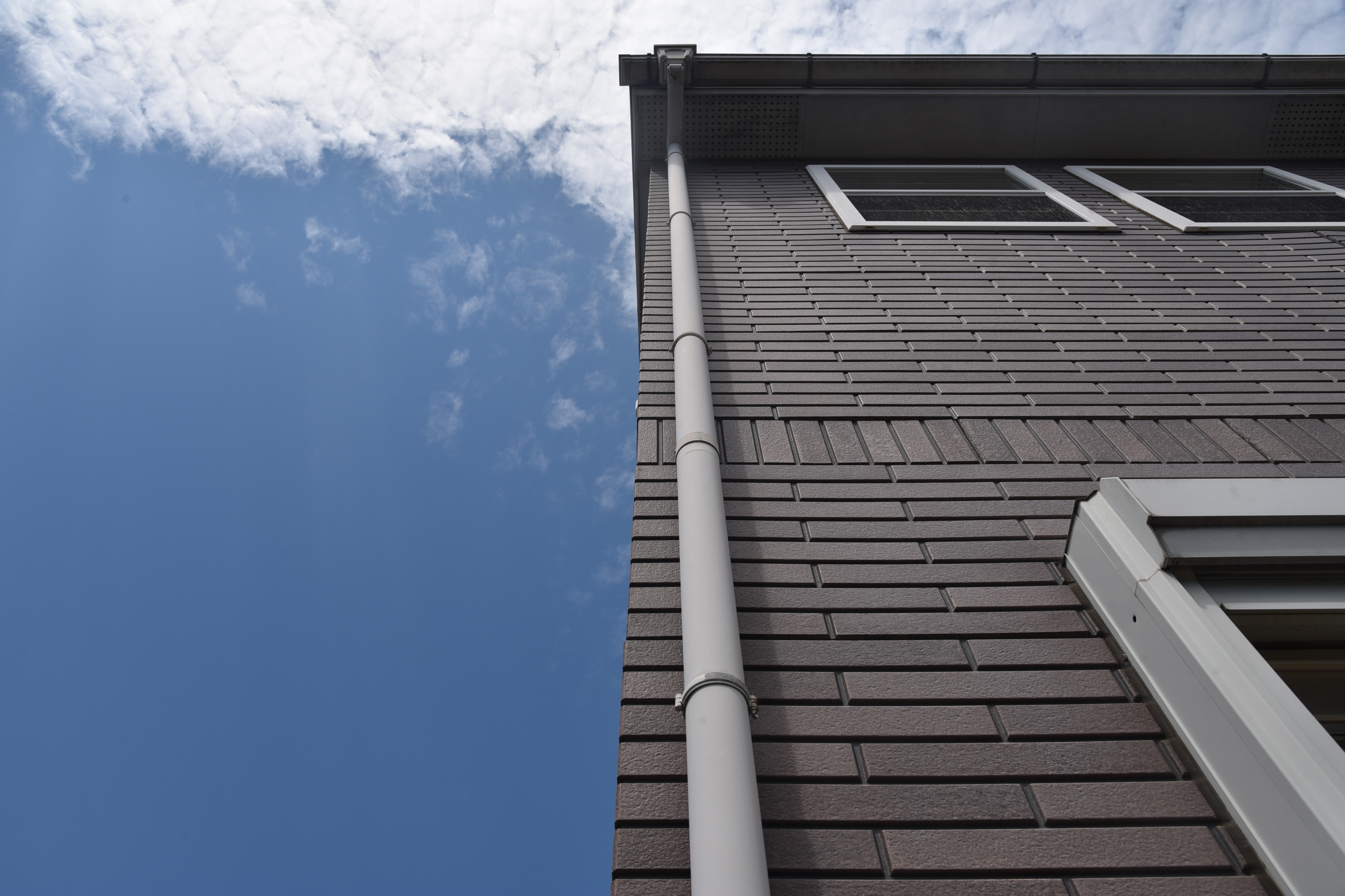 2020 0116 Tsama mae017.JPG