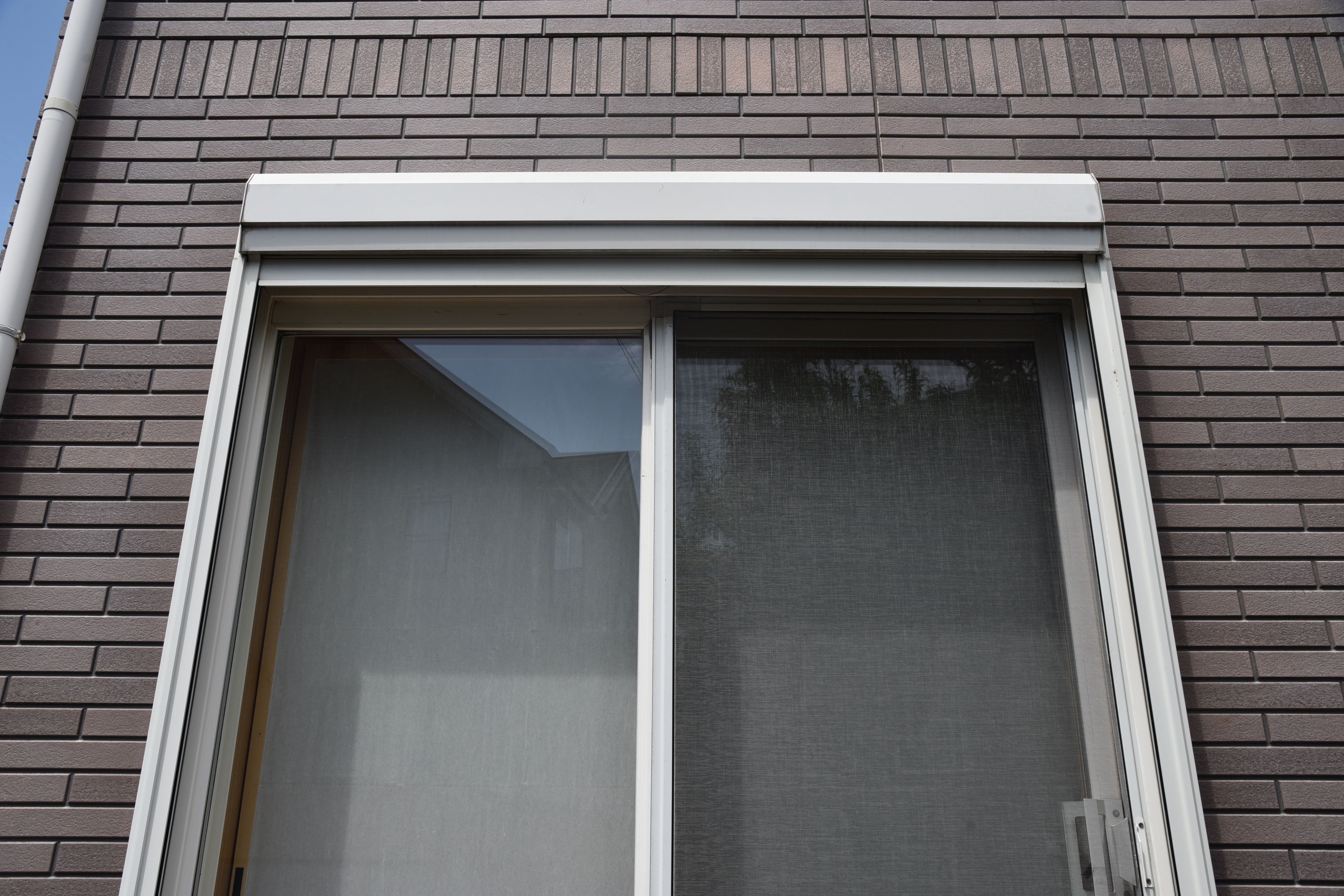 2020 0116 Tsama mae018.JPG