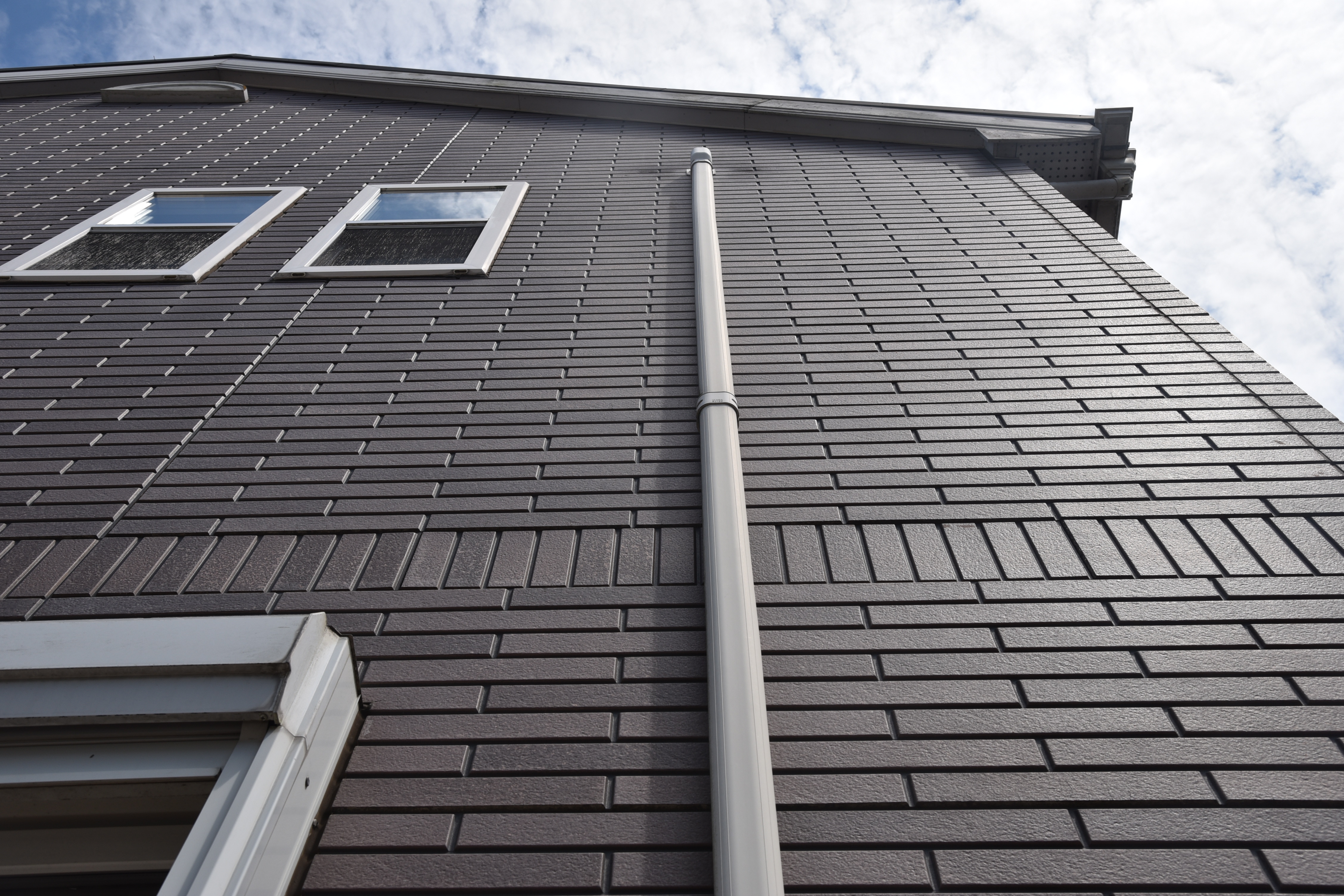 2020 0116 Tsama mae019.JPG