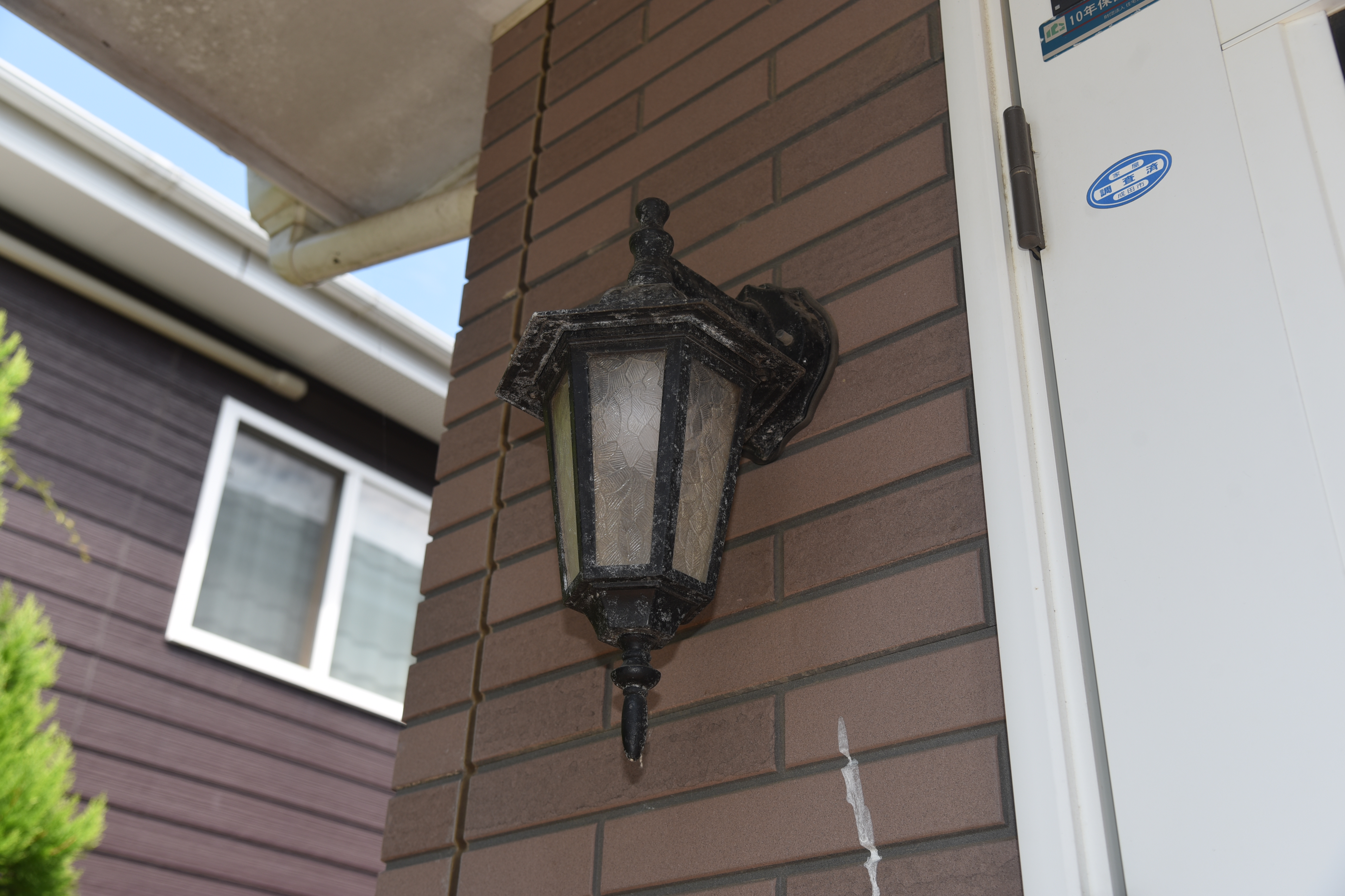 2020 0116 Tsama mae023.JPG