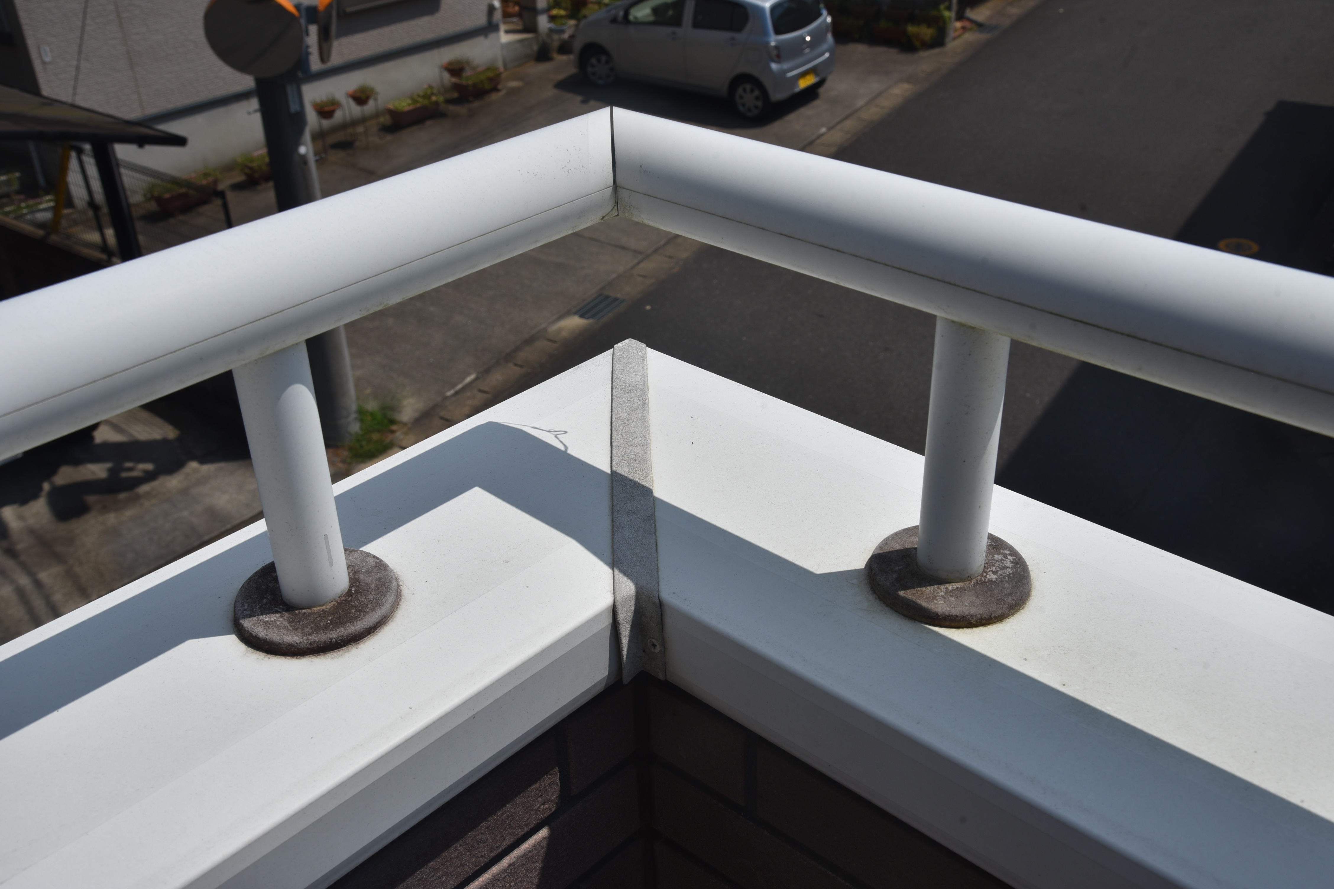 2020 0116 Tsama mae028.JPG