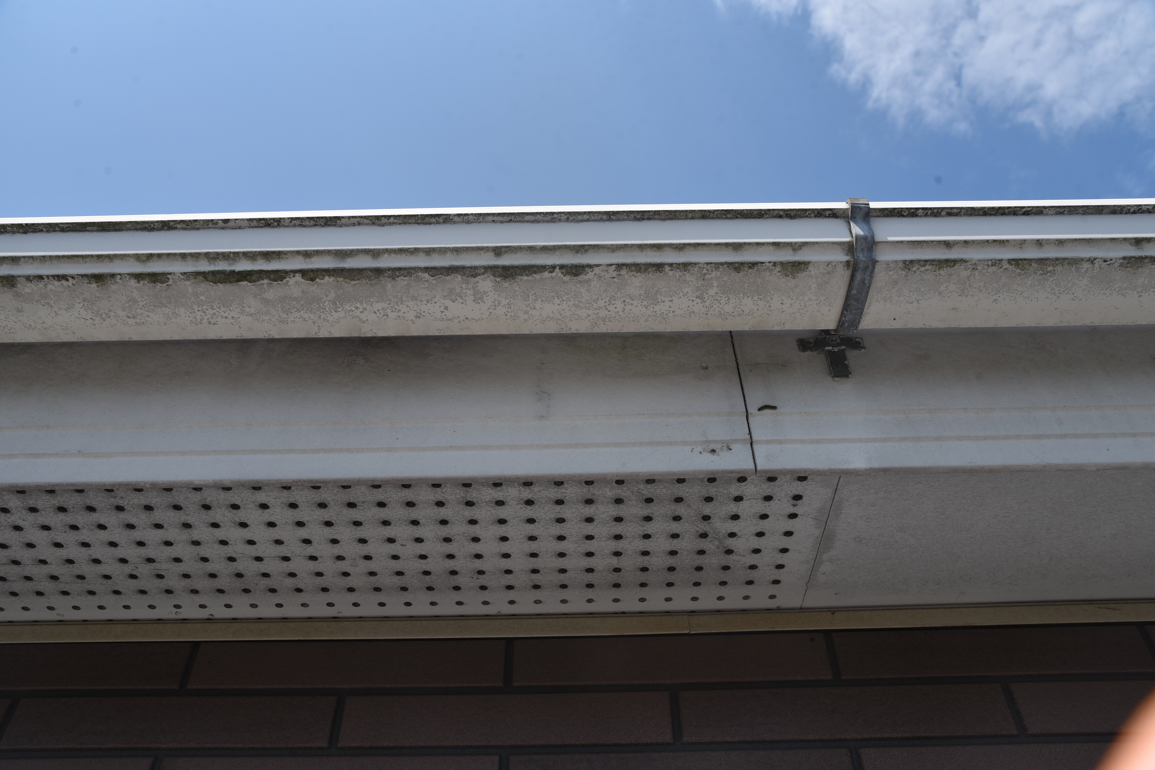 2020 0116 Tsama mae029.JPG