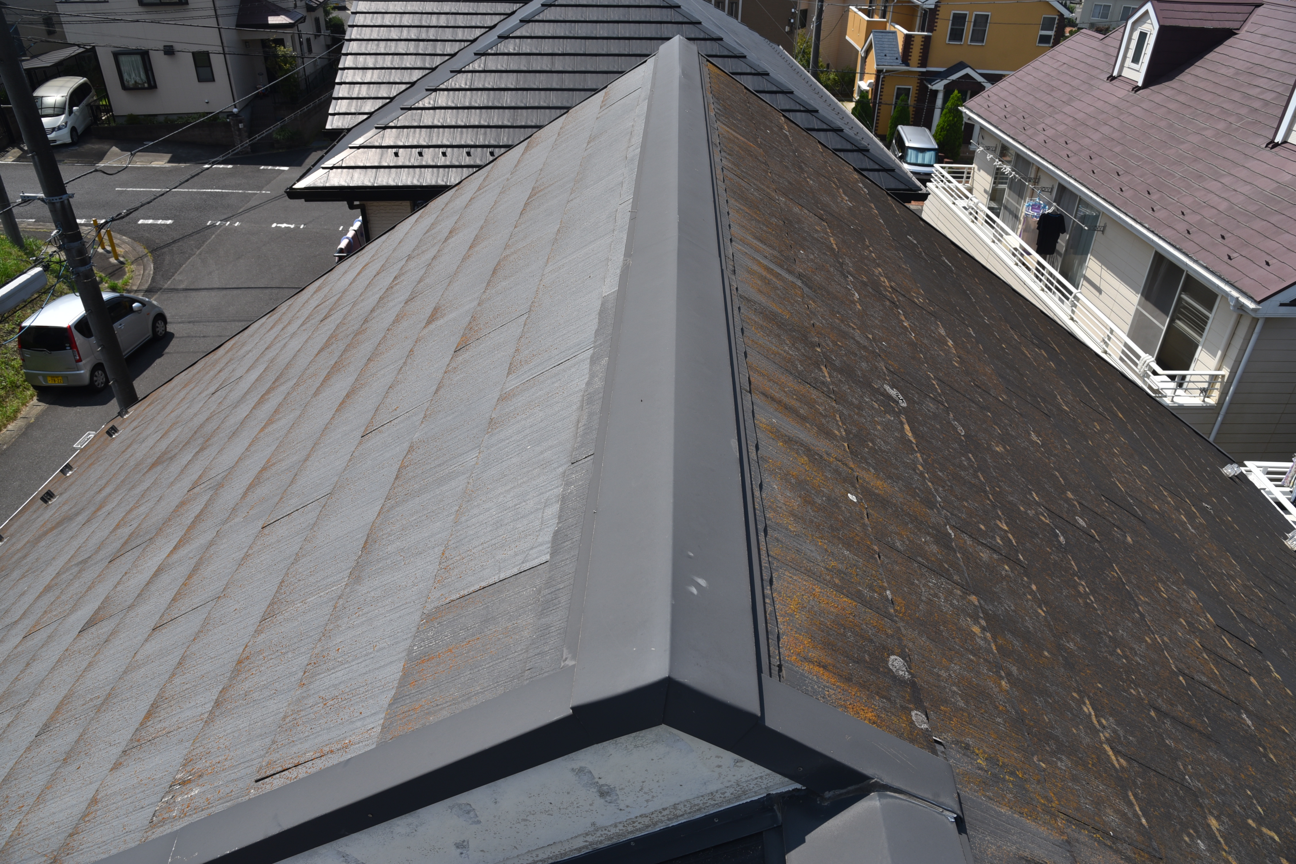 2020 0116 Tsama mae033.JPG