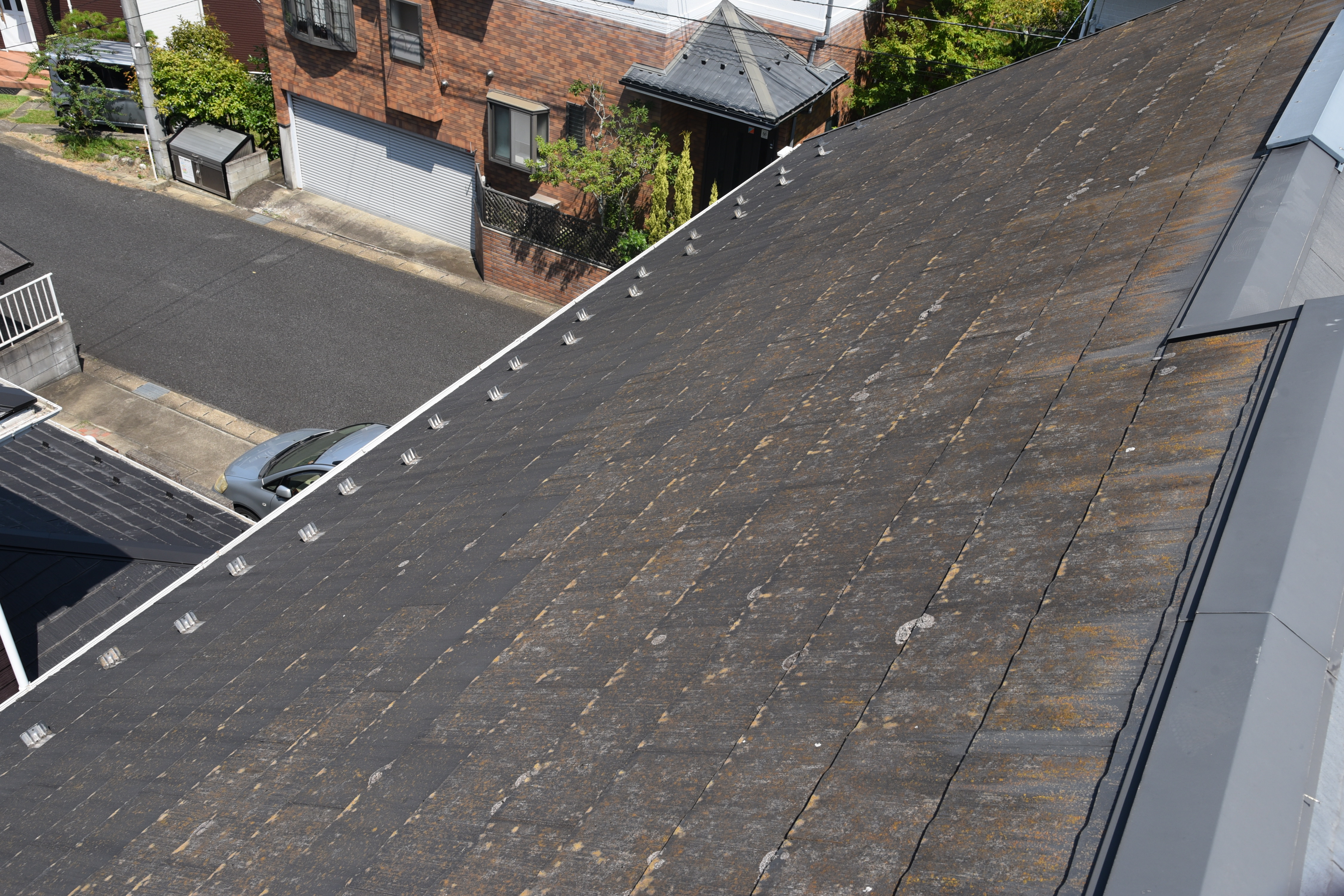 2020 0116 Tsama mae035.JPG