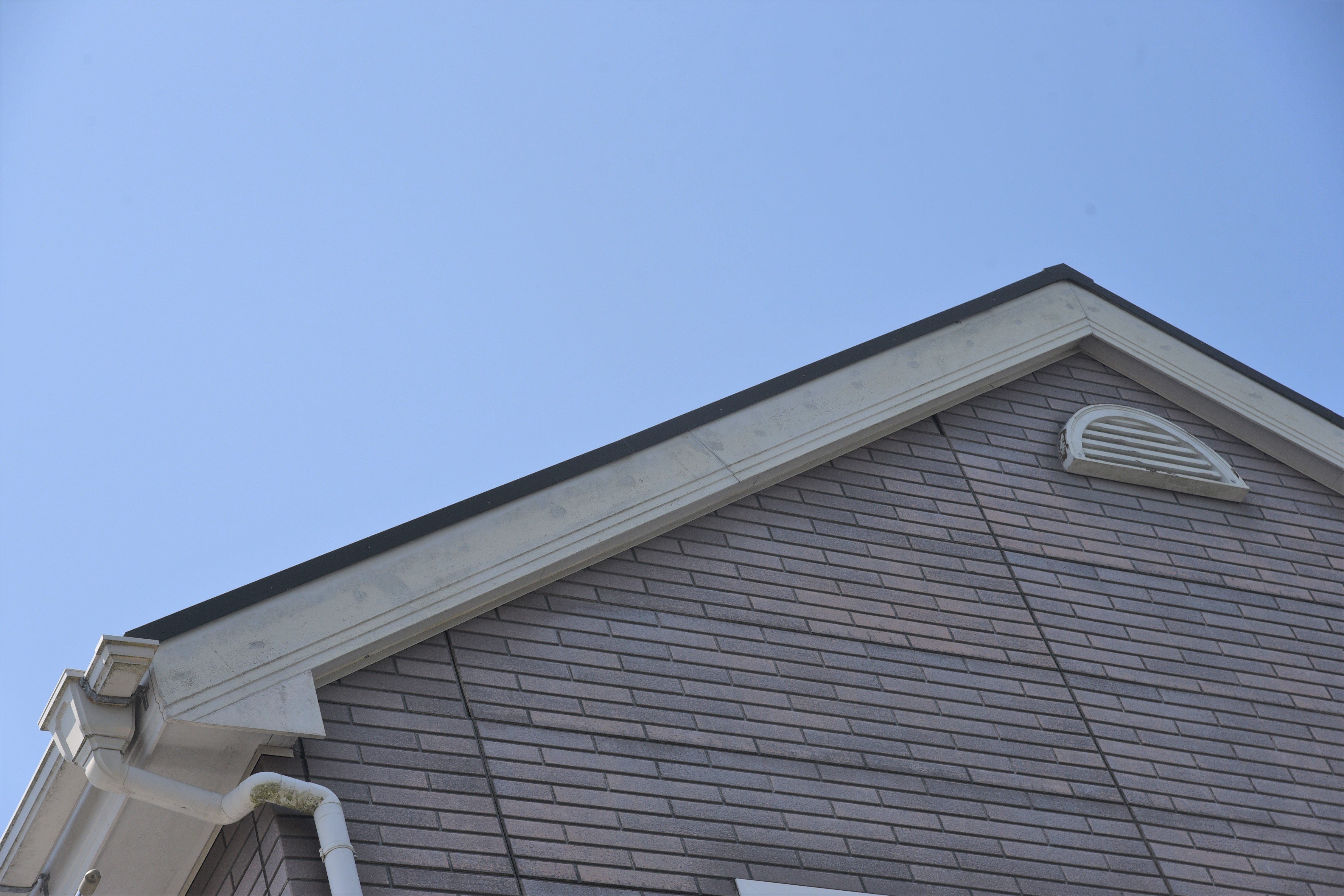 2020 0116 Tsama mae038.JPG