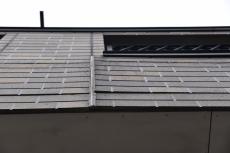 2020 0116 namiki Ysama mae002.JPG