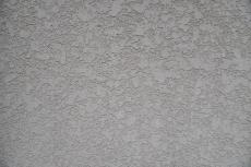 2020 0116 namiki Ysama mae028.JPG