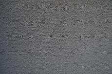 2020 0120 Msama mae002.JPG