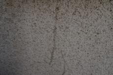 2020 0120 Msama mae003.JPG