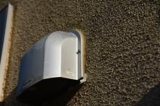 2020 0120 Msama mae010.JPG