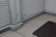 2020 0120 Msama mae019.JPG