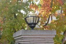 2020 0120 Msama mae021.JPG