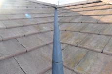 2020 0120 Msama mae029.JPG