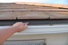 2020 0120 Msama mae036.JPG