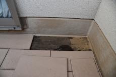 2020 0120 Msama mae041.JPG