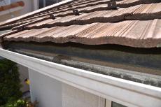 2020 0122 Isama mae023.JPG