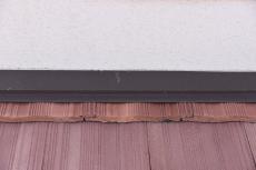 2020 0122 Isama mae024.JPG