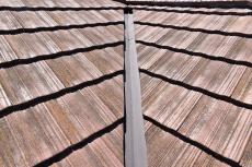 2020 0122 Isama mae026.JPG