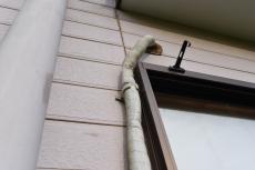 2020 0123 Osama mae024.JPG