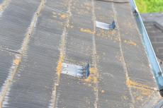 2020 0123 Osama mae039.JPG