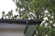 2020 0123 Osama mae048.JPG