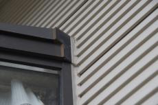 2020 0123 Ssama mae007.JPG