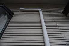 2020 0123 Ssama mae008.JPG