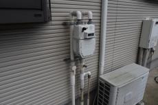 2020 0123 Ssama mae010.JPG