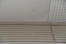 2020 0123 Ssama mae014.JPG