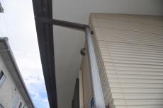 2020 0123 Ssama mae021.JPG