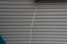 2020 0123 Ssama mae022.JPG