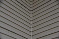 2020 0123 Ssama mae024.JPG